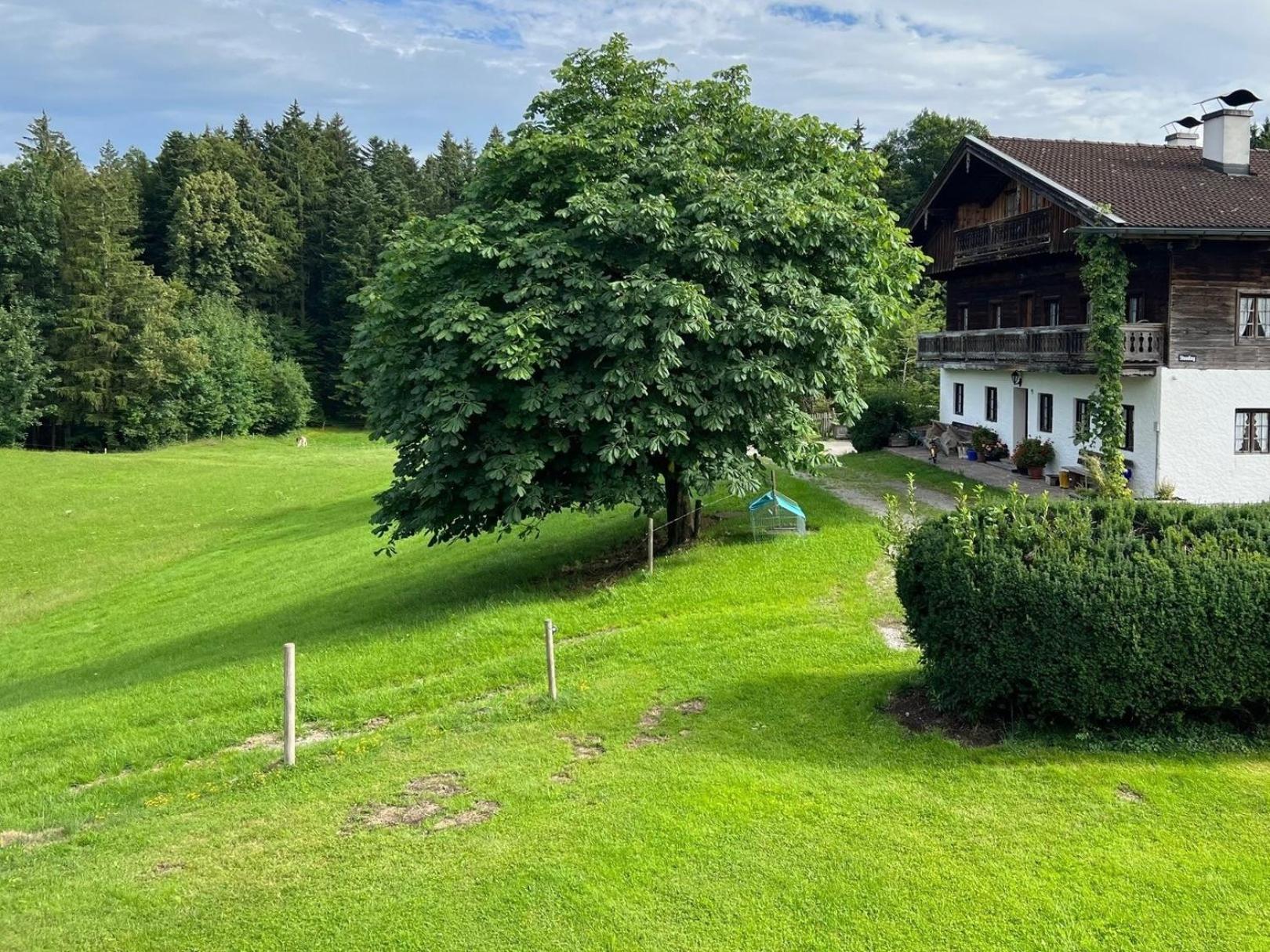 Fewo Staudinger Irschenberg Luaran gambar